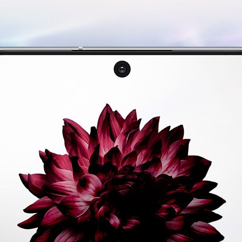 Galaxy Note10+影院級極限全屏幕顯示的特寫，屏幕正顯示花朵。