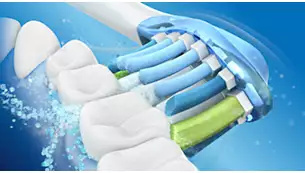 Dynamic cleaning action for better oral health